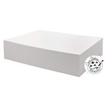 Watercolor Paper White 90lb 9 x 12 in 250 Sheets