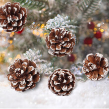 Natural Pine Cones with White Edges 1.9In Christmas