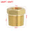 Brass Reducing Hex Bushing Adapter 1/8NPT to 1/4NPT 1