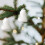 White Foam Christmas Ornaments 4PCS Lightweight Shatterproof 4