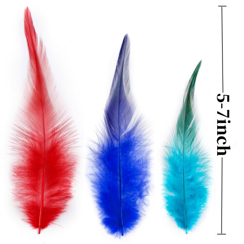 Natural Craft Feathers Bulk 200 pcs 5-7 inch assorted colors 2