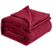 Bizhua Plush Flannel Blanket Lightweight Warm Sofa Bed