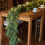 Cypress Artificial Christmas Garland with Warm White LED 4