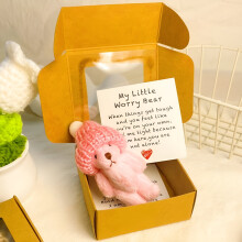Mini Plush Teddy Bear in Box with Hat Pink Sympathy Gift