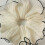 Ruched Scrunchies Thick Oversized Hair Rope Ponytail Holder 5