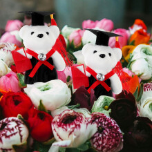Graduation Bear Decorative Keepsake Set 10 Pieces