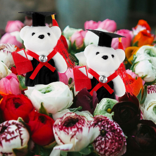 Graduation Bear Decorative Keepsake Set 10 Pieces