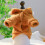 Felpa con cappuccio Pet Circle a forma di agnello per cani e gatti 5