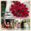 Knitted Rose Flower Blanket Handmade Crochet Throw 3