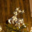 LED Lighted Star Tree Topper Warm White Battery-Powered 4