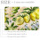 Watercolor Lemon Seamless Pattern Entryway Rug 2x3 ft 2