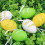 Easter Eggs Assorted Colors 6 Pcs 7