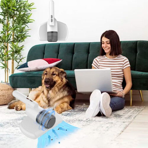 Corded Upright Vacuum Cleaner Bagless Lightweight for 1