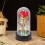 Rose Galaxy conservée sous dôme de verre avec lumière LED 6