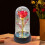 Rose Galaxy conservée sous dôme de verre avec lumière LED 3