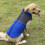 Reflective Waterproof Dog Coat Winter Warm Small Medium 4