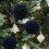 Christmas Balls Flocked 10 cm 2 pcs Blue 5