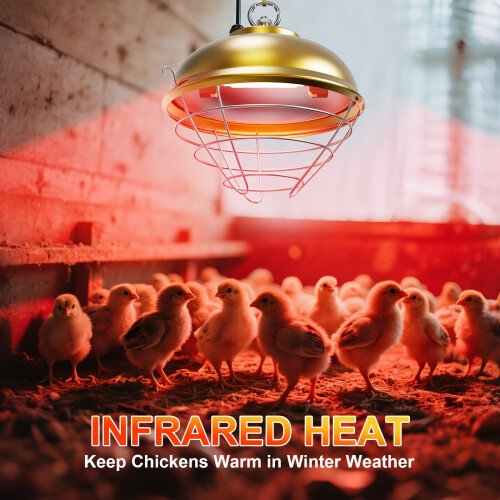 Aluminum Poultry Heater Adjustable Temp Height 2