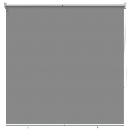 VidaXL vidaXL Außen-Rollos mit UV-Schutz Hellgrau 100 x 230 cm (B x H) 1