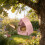 Open Design Bird Feeder Hut Shape with Top Hook 5