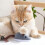 Interactive Cat Toy Electric Mouse Teaser Battery Powered 6