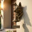 Dog Welcome Back Doorbell 3D German Shepherd Cast Iron 7