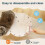 Cat Cave Tunnel Foldable Indoor Pet House 8