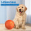 Smart Dog Toy Ball LED Interactive Automatic Movement 5