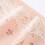 Women's High Waist Cotton Floral Briefs Full Coverage 5