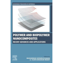 Polymer and Biopolymer Nanocomposites Paperback Book