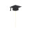 Cake Topper Graduation Doctoral Hat Black 48 pcs 1