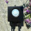 Contrôle intelligent Tuya intelligent max 50W 1