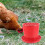 Red Plastic Poultry Feeder for Home Use 1 Unit 8
