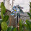Bird Repeller Spinner Reflective Windmill for Garden 1 Pack 8