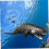 Whale Figurine Black for Kids Cognitive Development 1 Piece 6