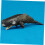 Whale Figurine Black for Kids Cognitive Development 1 Piece 3