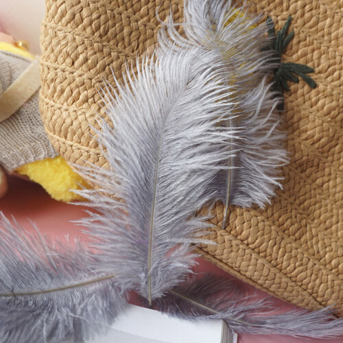 Ostrich Feathers Colorful 50 pcs 2