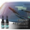 Windshield Crack Repair Kit with 2 Bottles 2