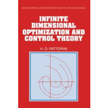 Infinite Dimensional Optimization and Control Theory by H. O. Fattorin