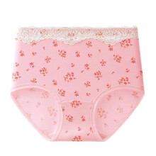 Women's High Waist Cotton Floral Briefs Full Coverage