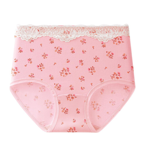 Women's High Waist Cotton Floral Briefs Full Coverage