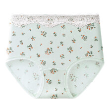 Women's High Waist Cotton Floral Briefs Full Coverage