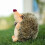 Large Hedgehog Plush Toy for Kids 1 Piece 5