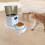 Feeder Stand for Automatic Dog Feeders White 6