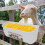 Automatic Livestock Feeder for Chicken Goat Deer Dog Piglet 3