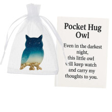 Pocket Travel Turtle Hug Gift – Mini Resin Animal Token