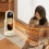 Ceramic Space Heater 1000W Battery Powered Quiet Safe 5