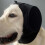 JOR Dog Ear Muffs Noise Canceling Adjustable Hearing 3