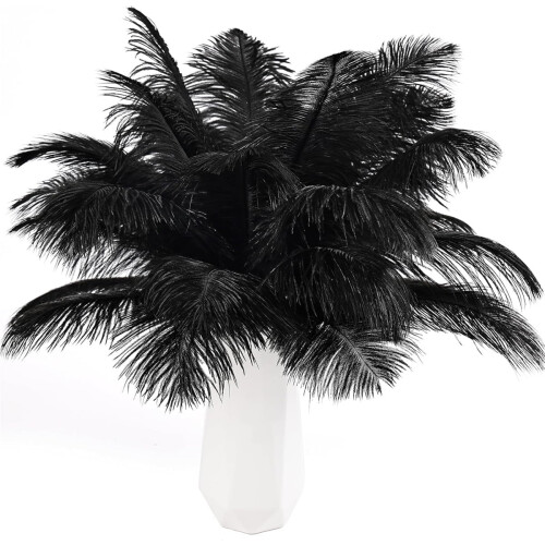 Ostrich Feathers Decoration Pack 20 pcs 8-10 inch natural