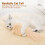 Soft Durable Cat Toy Pillows with Catnip and Crinkle Sound 6